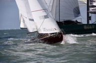 cockleshell-rebellion